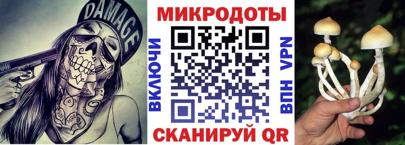 Псилоцибиновые грибы Psilocybe  как найти закладки  Пыть-Ях 